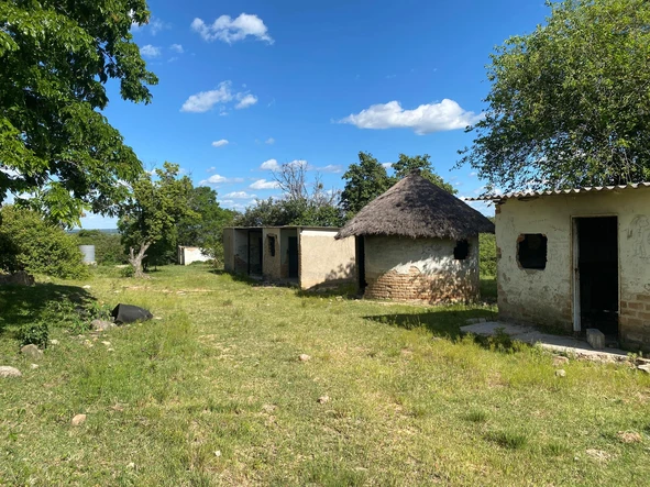 Farm & Agricultural Land