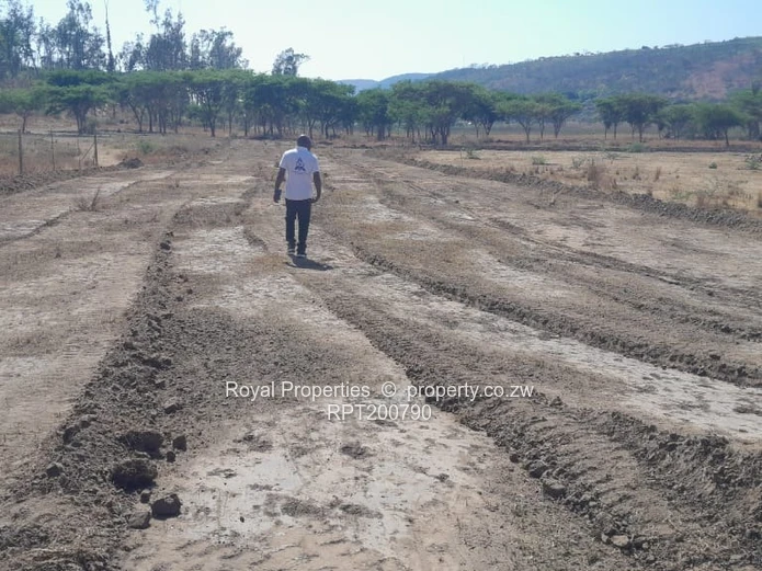 Glen Lorne stands for sale