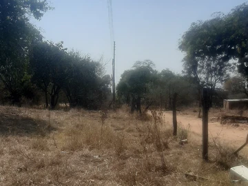 Farm & Agricultural Land