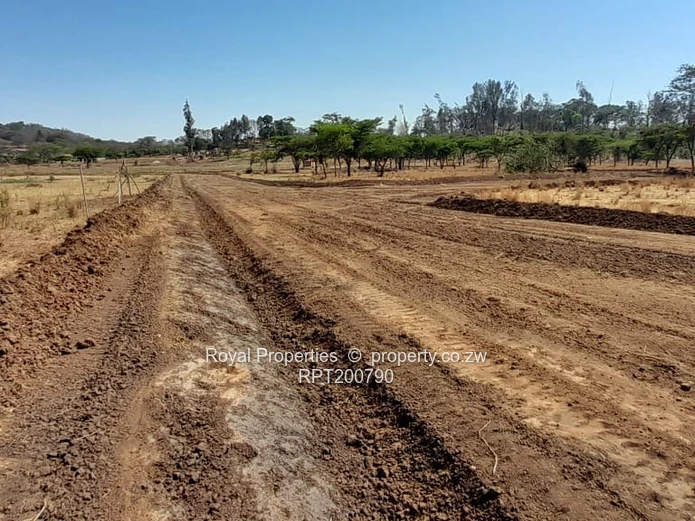 Glen Lorne stands for sale