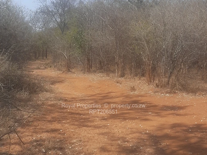 Kwekwe Farm for sale