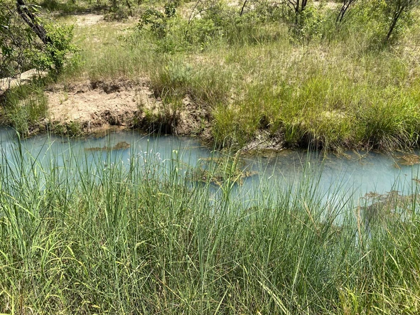 Farm & Agricultural Land