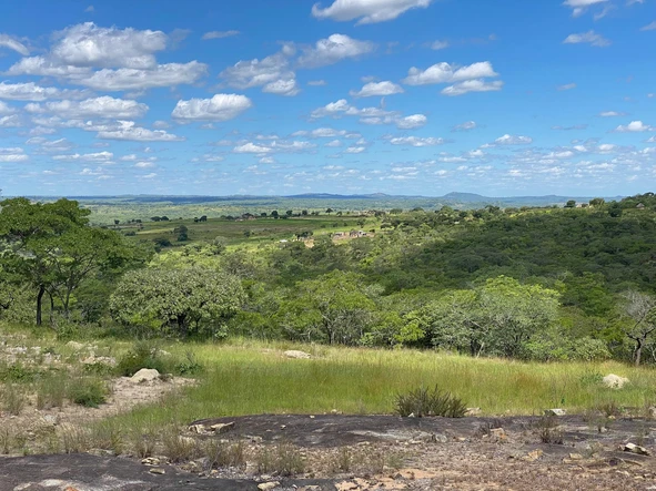 Farm & Agricultural Land