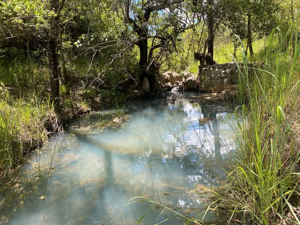 Farm & Agricultural Land