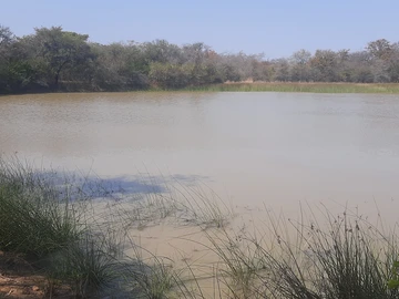 Farm & Agricultural Land