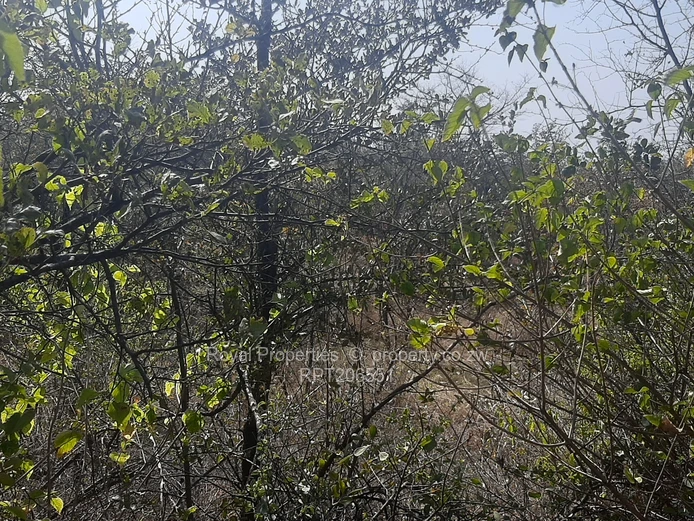 Kwekwe Farm for sale