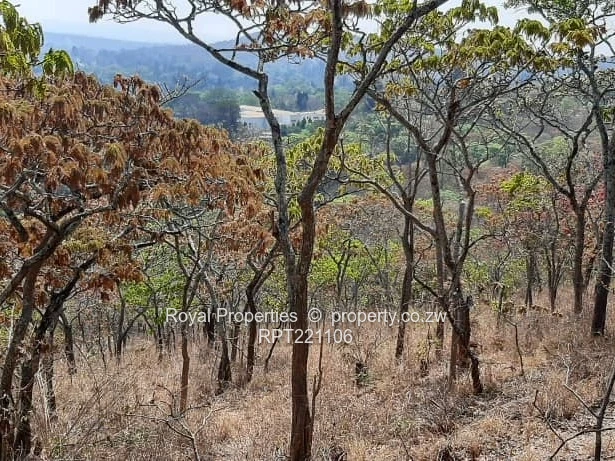 Umwinsdale stand for sale