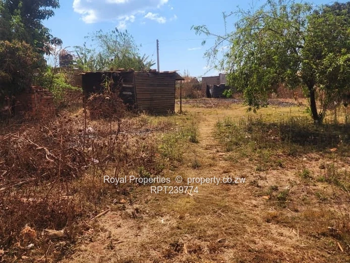 Hatcliffe  Stand for sale